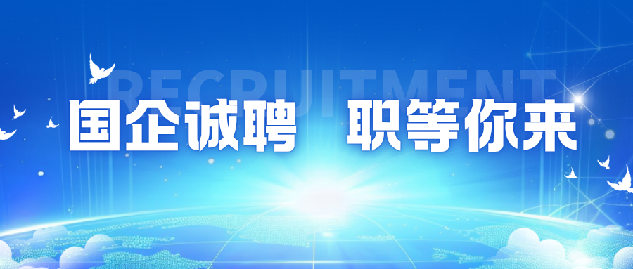 河南外服