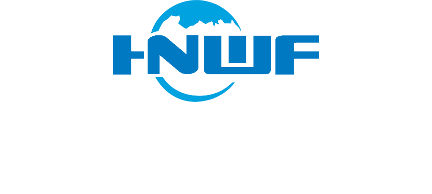 河南外服